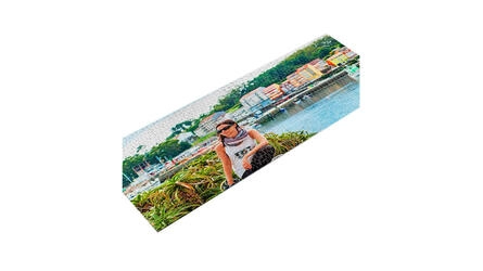 1000 piece panoramic Puzzle